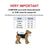 2" WIDTH Strong Dog Collar Genuine Real LEATHER for LARGE Pet Brown Size Chart - FunnyDogClothes