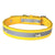 Yellow Dog Collar