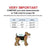skirt size chart