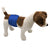 best reusable male dog diapers