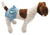 Pack - 2 Colors Dog Cat Diapers Female Skirt Ruffles For Small Dog 100% Cotton - FunnyDogClothes