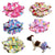 small dog diapers