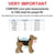 Snowsuit Size Chart - FunnyDogClothes