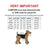 Set - 3pcs Pants + Coat + Hood Raincoat For Large Big Dog Waterproof Reflective Size Chart - FunnyDogClothes