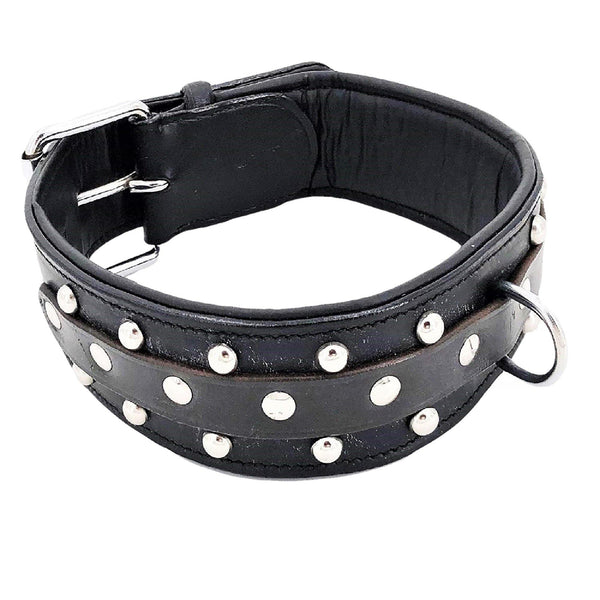 Studded Leather Dog Collar