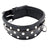 Studded Leather Dog Collar