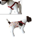 dog heat diapers