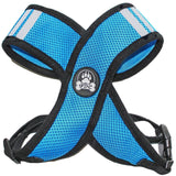 Blue Dog Harness Choke Free