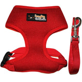 Red Dog Harness with Leash