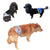 male dog diaper washable