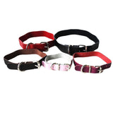 Puppy Genuine Leather