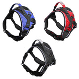 Large Dog  Harness
