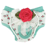 diapers for small dog