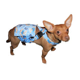 belly band male diaper