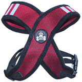Small Dog Harness Choke Free
