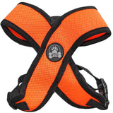 Orange Choke Free Dog Harness