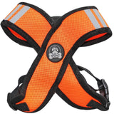 Orange Dog Harness Choke Free