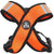 Orange Dog Harness Choke Free