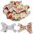 dog diapers female
