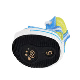 for small dog shoes