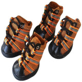 Small Dog Sneakers