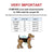 Dog cat clothes size chart