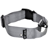 large dog collar