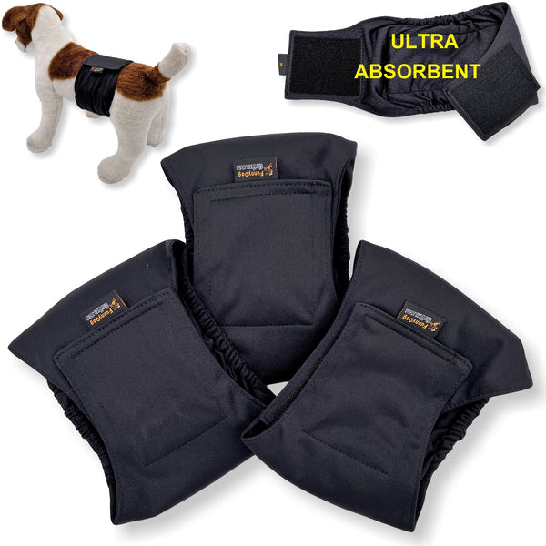 dog belly band
