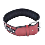 Genuine Leather large Dog Collar