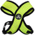 Yellow Dog Harness