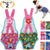 reusable dog diapers