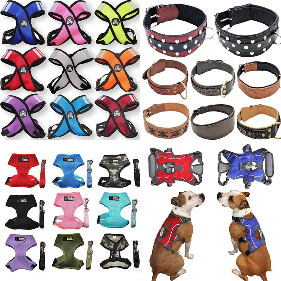 Dog Harnesses & Collars