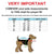 super absorbent male dog diapers size chart