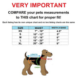 best washable male dog diapers size chart