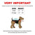 female dog diapers size chart