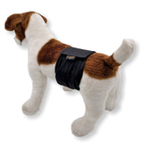 belly band male dog wrap