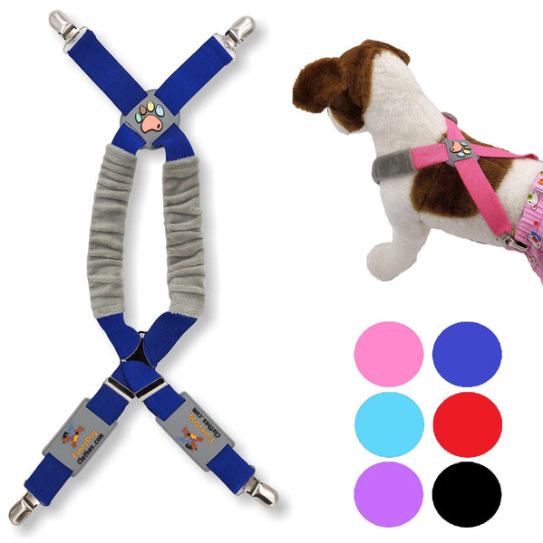 dog suspenders