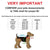 raincoat for small dog size chart