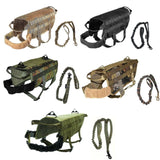 tactical vest and leash training hunting