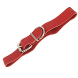 small leather collar